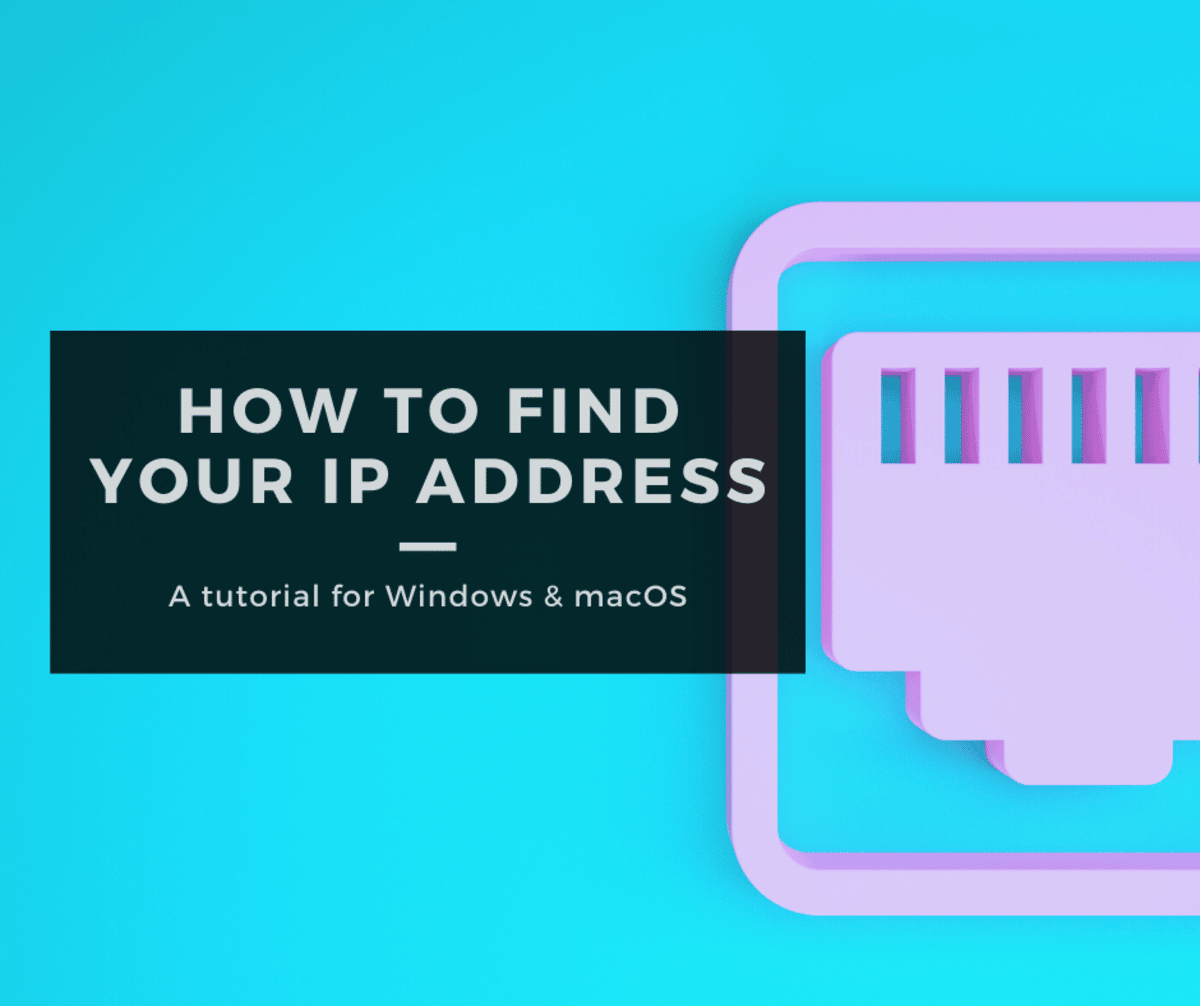 Comment Trouver Votre Adresse IP Sous Windows Et MacOS