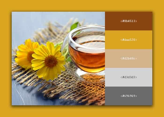10-belle-palette-de-couleurs-inspirée-du-café-pour-votre-prochain-design
