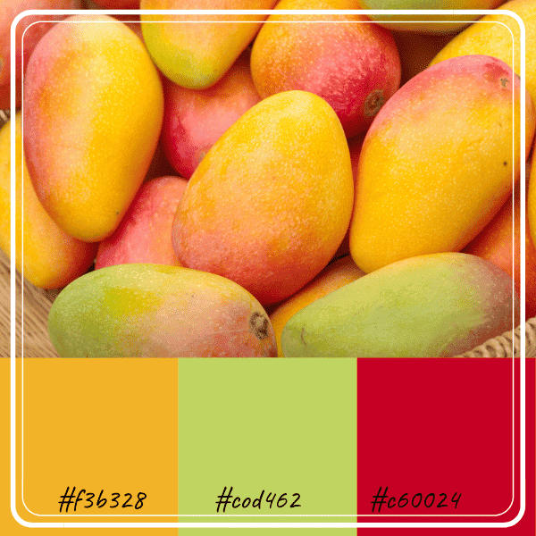 combinaisons-de-couleurs-inspirées-par-les-fruits