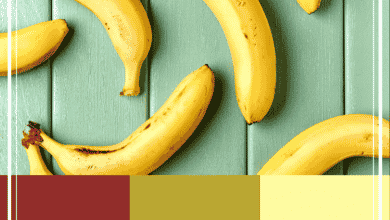Combinaisons de couleurs inspirées des fruits