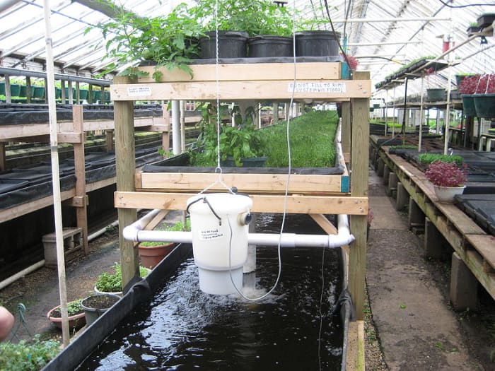 Un système aquaponique à la ferme urbaine Growing Power à Milwaukee.