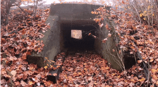 Animation de chauves-souris sortant d'un tunnel.