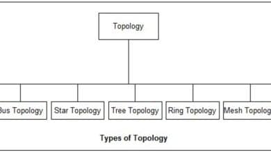 Caractéristiques d'un réseau informatique : topologie