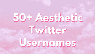 Plus de 50 noms d'utilisateur et idées esthétiques sur Twitter : la liste ultime