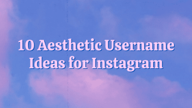 10 idées de noms d'utilisateur esthétiques pour Instagram : la liste ultime
