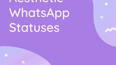 Plus de 30 statuts WhatsApp esthétiques : la liste ultime