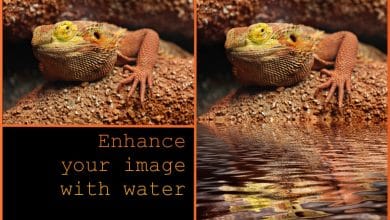 Comment ajouter la réflexion de l'eau à une image dans GIMP
