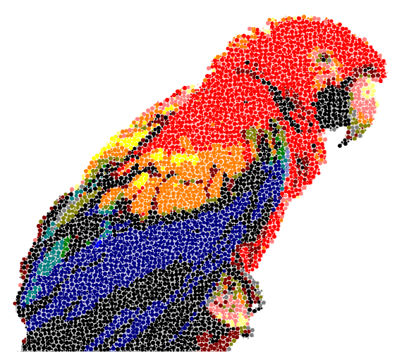 Photo de perroquet avec un fond blanc au dessin de points colorés.