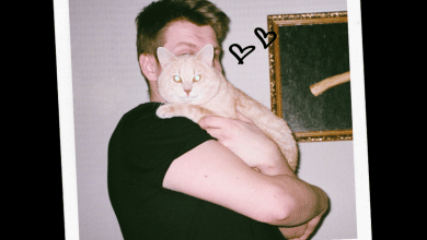 100+ meilleures légendes pour les selfies avec des chats