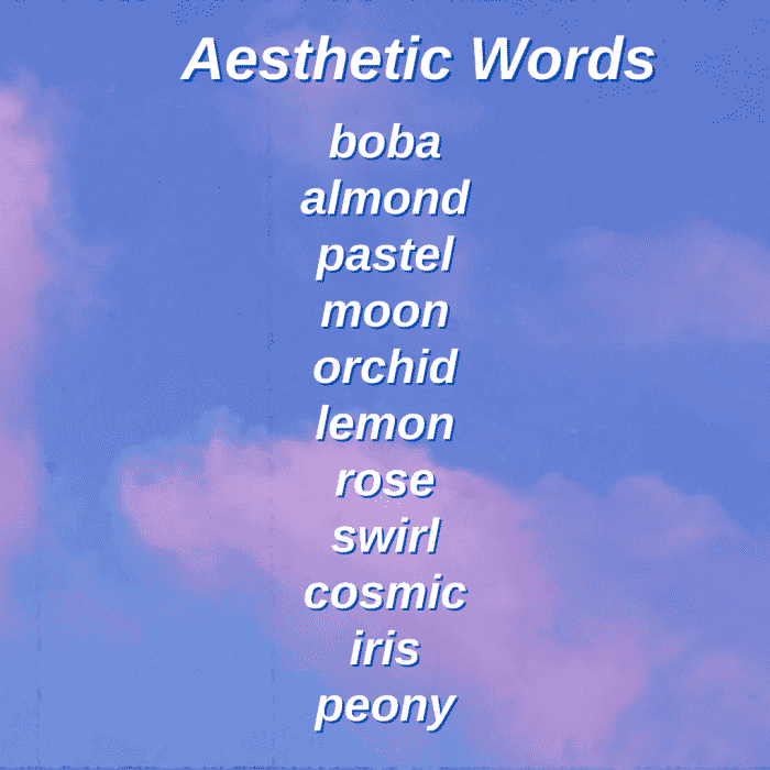 Vous pouvez essayer de combiner certains des termes cottagecore au-dessus ou en dessous des mots esthétiques ici !