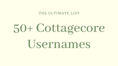 Plus de 50 noms d'utilisateur Cottagecore à vérifier : la liste ultime