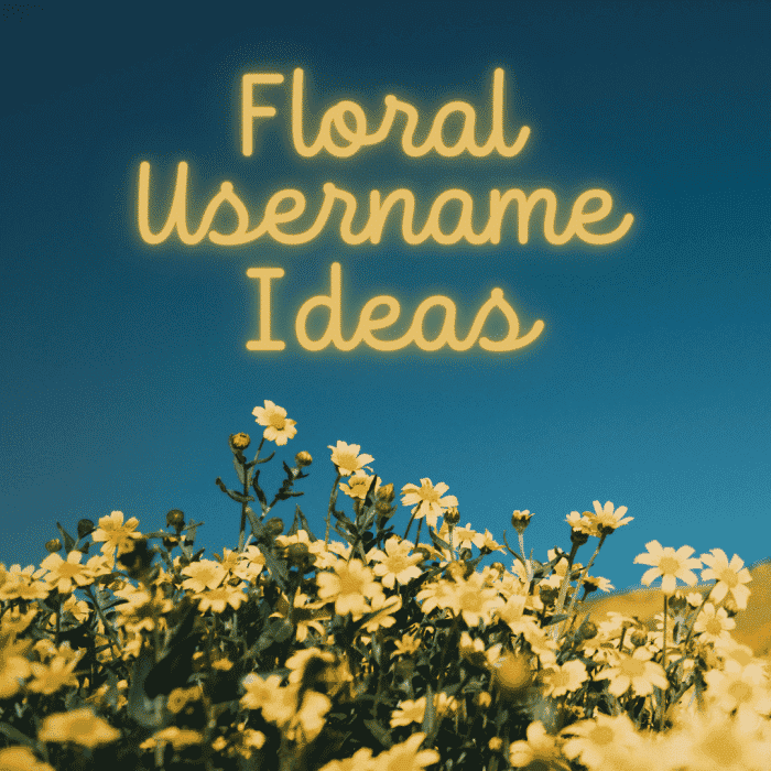 Les noms d'utilisateur floraux sont classiques, doux et toujours adorables !