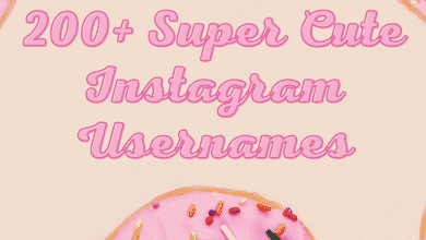 Plus de 200 noms d'utilisateur Instagram esthétiques mignons et élégants