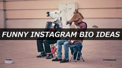150+ idées drôles de bio Instagram