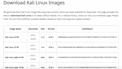 Comment exécuter Kali Linux à partir d'une clé USB amorçable