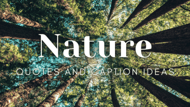 150+ citations sur la nature et idées de légendes pour Instagram