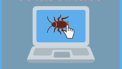 Comment supprimer les insectes de votre ordinateur