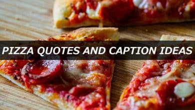 150+ citations de pizza et idées de légendes pour Instagram