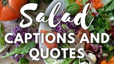 150+ citations de salade et idées de légendes pour Instagram