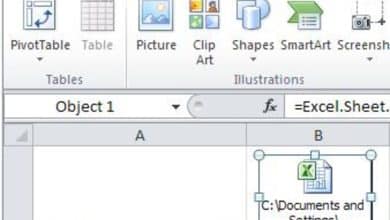 Comment incorporer un fichier en tant qu'objet dans une feuille de calcul Microsoft Excel