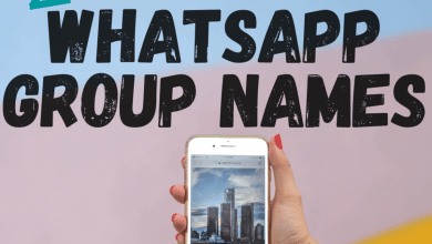 250+ meilleurs noms de groupe WhatsApp pour les amis et la famille