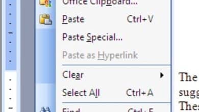 Comment utiliser le menu Edition dans Microsoft Word 2003