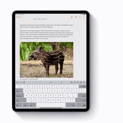 Vous pouvez utiliser trois doigts pour copier et coller du texte dans iPadOS