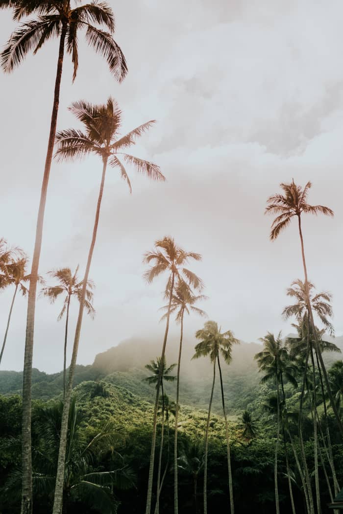 hawaii-instagram-légendes