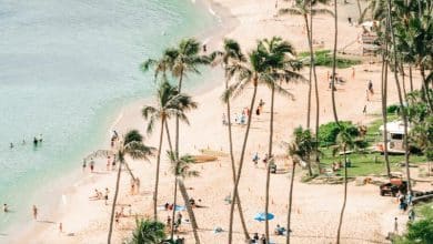 99+ légendes Instagram impressionnantes d'Hawaï