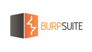 Bug Bounty Hunting avec Burp Suite (interception, répéteur et intrus)