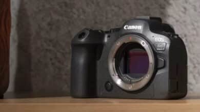 Canon EOS R6 Mark II : appareil photo plein format ultime pour les photos/vidéos