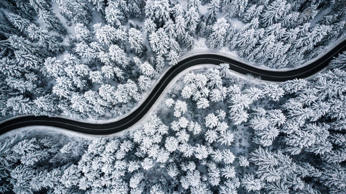 Image aérienne d'arbres couverts de neige